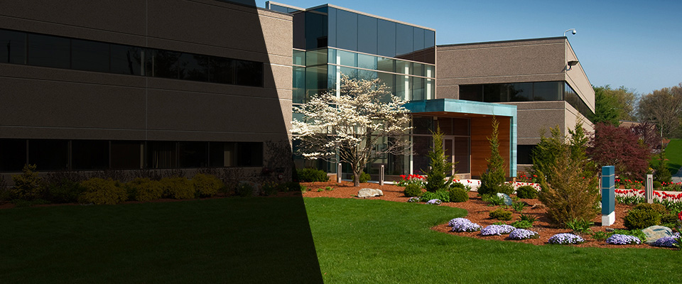 Gig Harbor Landscapers