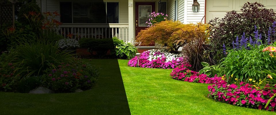 Gig Harbor Landscapers